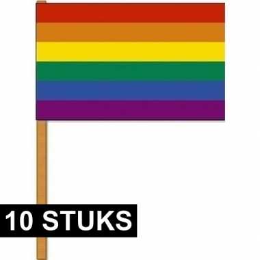 10x luxe zwaaivlaggen regenboog 30 x 45 cm met houten stok