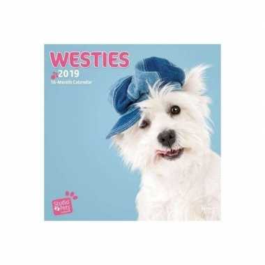 2019 kalender met west highland terrier puppies