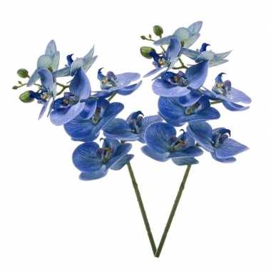 2x blauwe phaleanopsis/vlinderorchidee kunstbloemen 70 cm