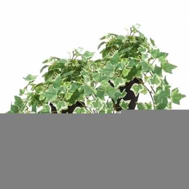 2x kunstplant klimop groen/wit in zwarte pot 30 cm