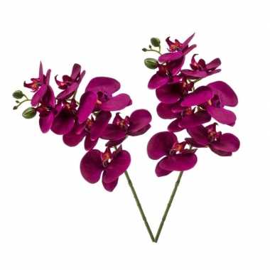 2x violet paars phaleanopsis/vlinderorchidee kunstbloemen 70 cm