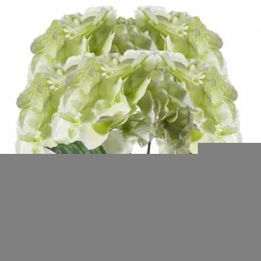 5x wit/groene hortensia kunstbloemen tak 28 cm