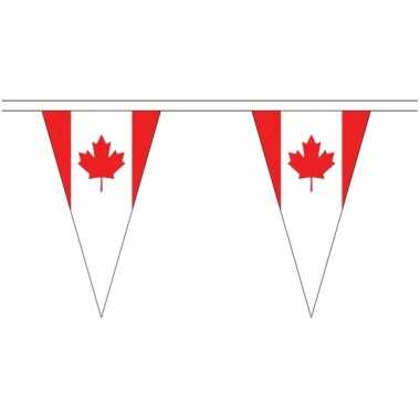 Canada landen punt vlaggetjes 20 meter