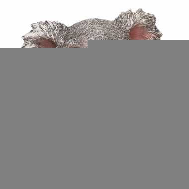 Dierenbeeld koala 20 cm