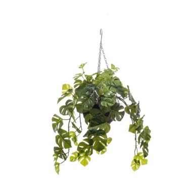 Groene monstera/gatenplant kunstplant 50 cm in hangende pot