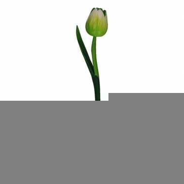 Holland souvenirs groene tulp 35 cm