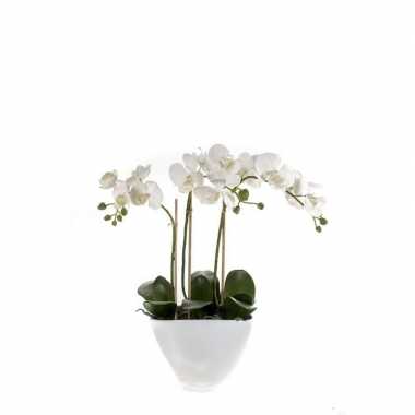 Kunstbloem orchidee wit 50 cm