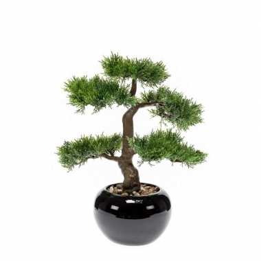 Kunstplant bonsai boom in zwarte pot 16 cm