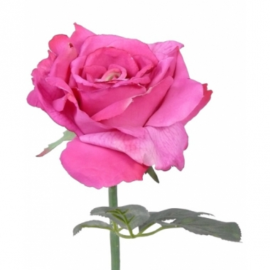 Roze zijden roos 31 cm