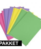 16x a4 hobby karton fuchsia roze geel groen paars trend