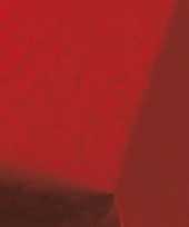 2x bordeauxrood papieren tafellakens tafelkleden 800 x 118 cm trend