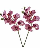 2x fuchsia roze phaleanopsis vlinderorchidee kunstbloemen 70 cm trend
