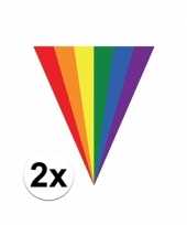 2x gay pride regenboog slingers vlaggenlijnen 5 meter trend