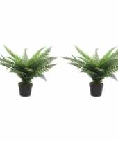 2x groene adelaarsvaren kunstplanten 60 cm in zwarte pot trend