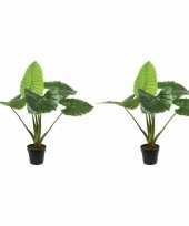 2x groene colocasia taro kunstplanten 90 cm in zwarte pot trend