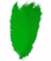2x grote decoratie veren struisvogelveren groen 50 cm trend