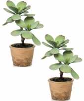 2x kunstplant groene kalanchoe vetplant 34 cm in bruine pot trend