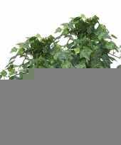 2x kunstplant klimop groen in zwarte pot 30 cm trend