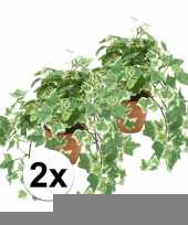 2x kunstplant klimop groen wit in terracotta pot 30 cm trend