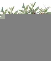 2x kunstplant olijfboompje groen in zwarte pot 35 cm trend