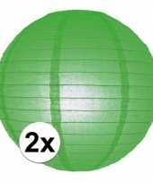 2x lampionnen 25 cm groen trend