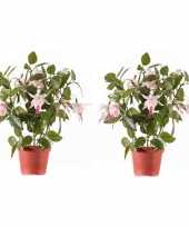2x lichtroze fuchsiaplant kunstplanten 30 cm voor binnen trend