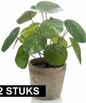 2x stuks kunstplanten pannekoekplant pilea groen in pot 25 cm trend