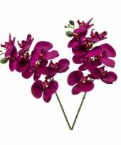 2x violet paars phaleanopsis vlinderorchidee kunstbloemen 70 cm trend