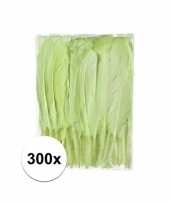 300x groene sier veren 13 cm trend