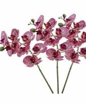 3x fuchsia roze phaleanopsis vlinderorchidee kunstbloemen 70 cm trend