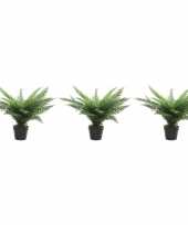 3x groene adelaarsvaren kunstplanten 60 cm in zwarte pot trend