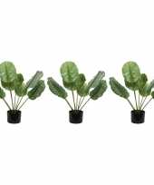 3x groene calathea kunstplanten 63 cm in zwarte pot trend