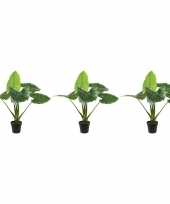 3x groene colocasia taro kunstplanten 90 cm in zwarte pot trend