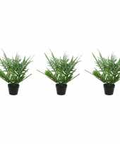 3x groene phlebodium varen kunstplanten 54 cm in zwarte pot trend