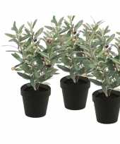 3x kunstplanten olijfboompje groen in zwarte pot 35 cm trend
