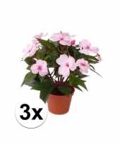 3x stuks kunstplanten roze bloemen vlijtig liesje in pot 25 cm trend