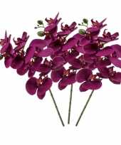 3x violet paars phaleanopsis vlinderorchidee kunstbloemen 70 cm trend