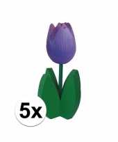 5x decoratie houten paarse tulpen trend