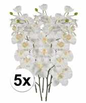 5x kunstbloem orchidee wit trend