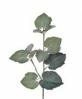 5x kunstplant linde tilia bladgroen takken 50 cm groen trend