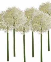 6x witte allium sierui kunstbloemen 65 cm trend