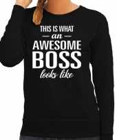 Awesome boss baas cadeau sweater trui zwart dames trend