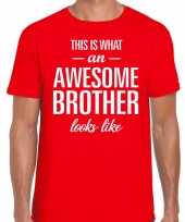 Awesome brother tekst t-shirt rood heren trend