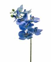 Blauwe phaleanopsis vlinderorchidee kunstbloem 70 cm trend