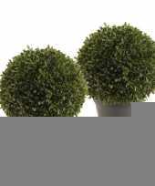 Boxwood ball kunstplanten 35 cm 2 stuks trend