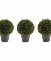 Boxwood ball kunstplanten 35 cm 3 stuks trend
