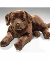Bruine knuffel labrador hond 50 cm trend
