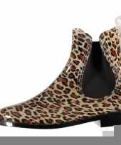 Chelsea boots regenlaarsjes luipaard voor dames trend