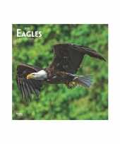 Dieren kalender adelaars 2019 trend