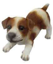 Dierenbeeld jack russel hond bruin wit 14 cm trend